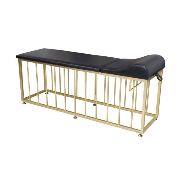 MYC-6019 SEDYE